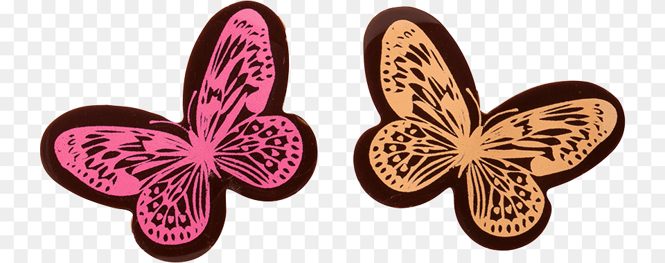 Brush Footed Butterfly, Flower, Plant, Anther, Orchid Free Png