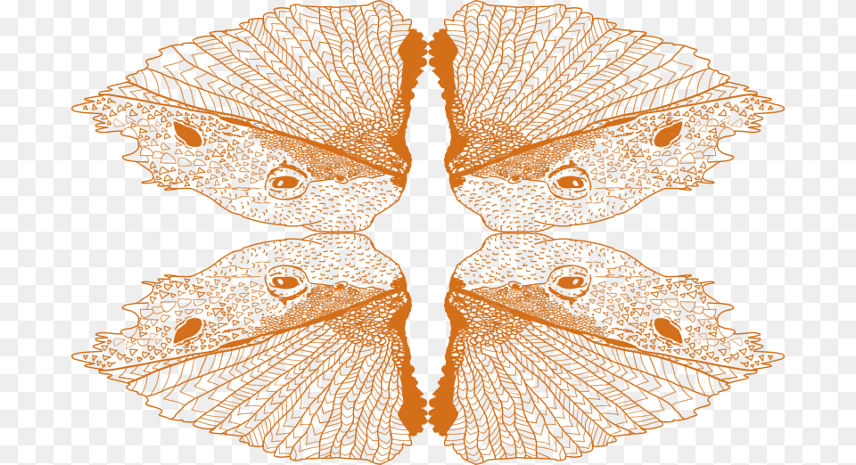 Brush Footed Butterfly, Accessories, Earring, Jewelry, Lace Png