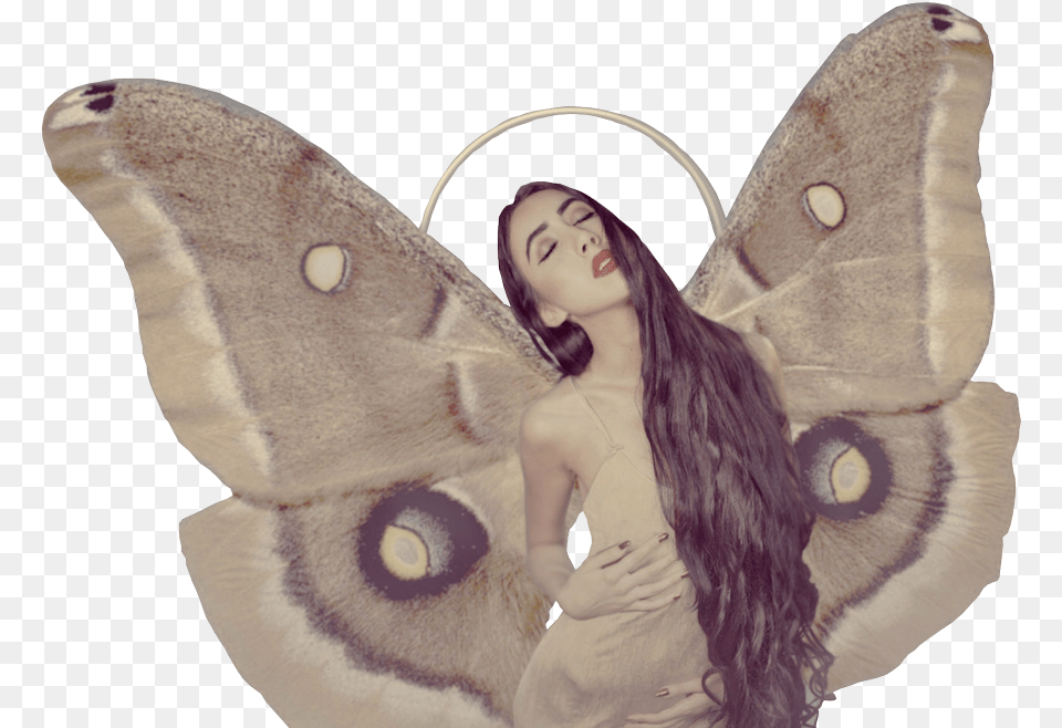 Brush Footed Butterfly, Adult, Person, Woman, Female Free Png