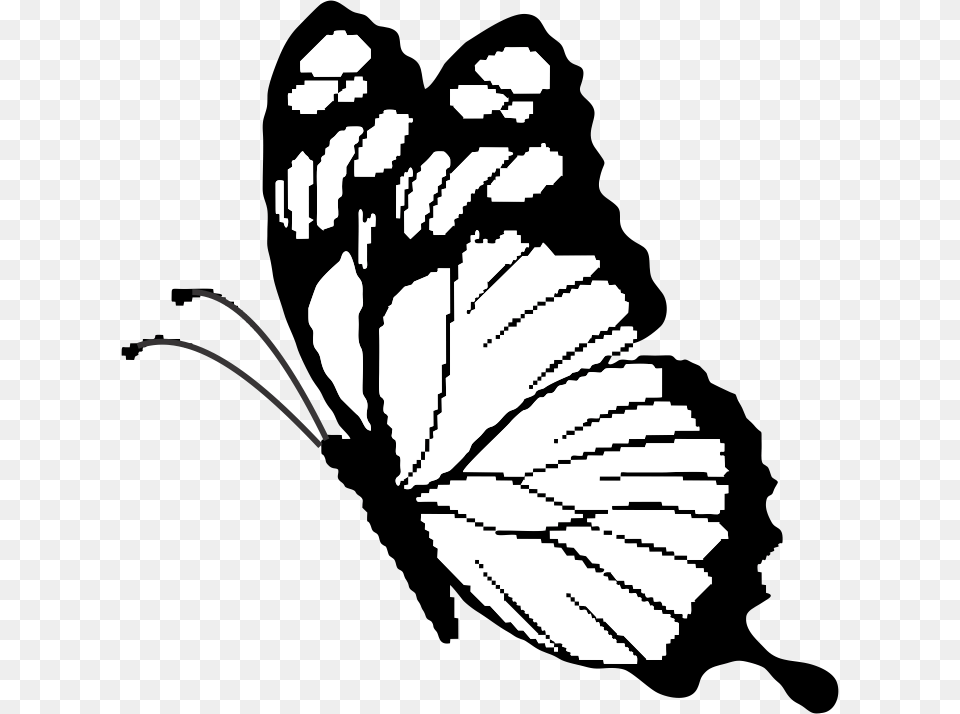 Brush Footed Butterfly Clipart Download Brush Footed Butterfly, Art, Baby, Person, Face Png