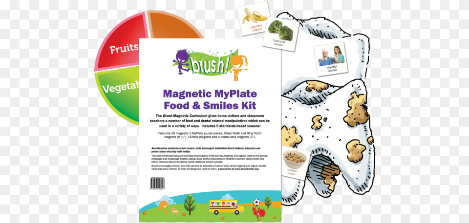 Brush Magnetic Myplate Food U0026 Smiles Curriculum Kit Kids School, Advertisement, Poster, Person Free Transparent Png