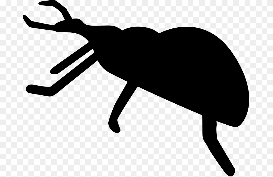 Brush Stroke Clip Art Black Bug Clipart, Gray Png