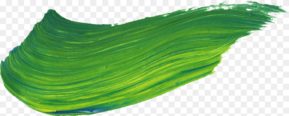 Brush Stroke Close Up, Green, Nature, Outdoors, Sea Free Png Download