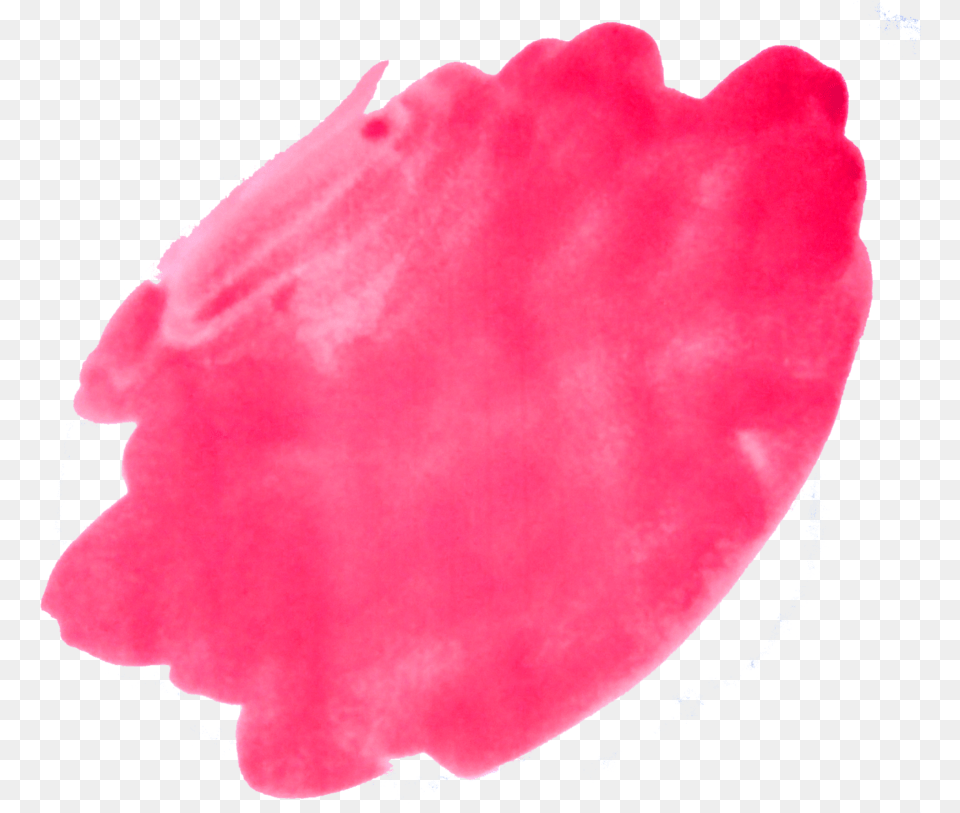 Brush Thank You Pink Brush, Flower, Petal, Plant, Rose Png Image