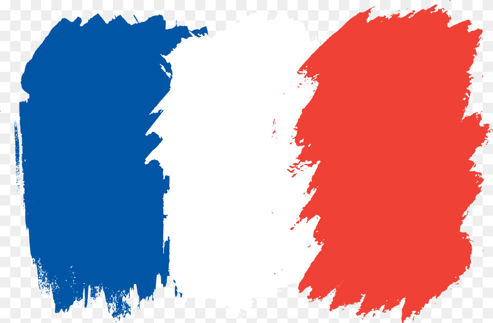 Brushed Flag France France Flag Background, Animal, Bear, Mammal, Wildlife Free Png