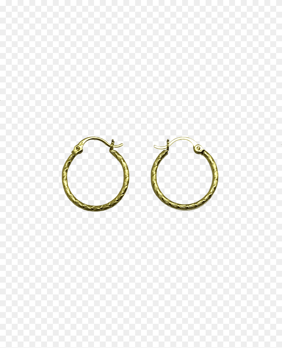 Brushed Hoops 14k Tidewater Advanced Soccer League Tasl, Accessories, Earring, Jewelry, Hoop Free Png