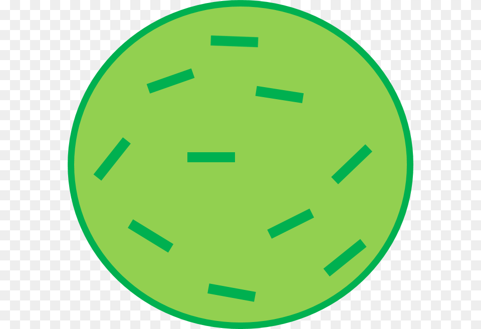 Brussel Sprout Body National Alpini Association, Green, Sphere, Disk Free Png