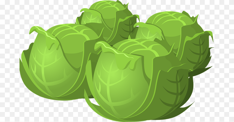 Brussel Sprouts Cartoon, Green, Food, Leafy Green Vegetable, Plant Png Image
