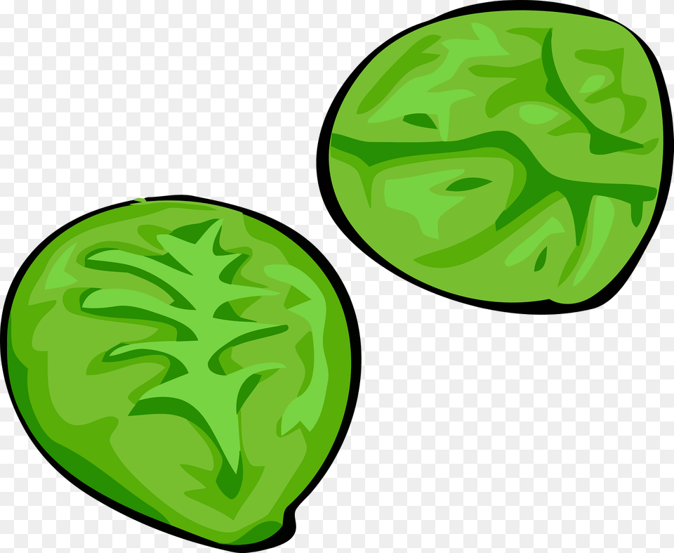 Brussel Sprouts Clipart, Food, Produce Png Image