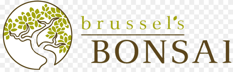 Brussels Bonsai Logo, Plant, Vegetation, Land, Nature Png