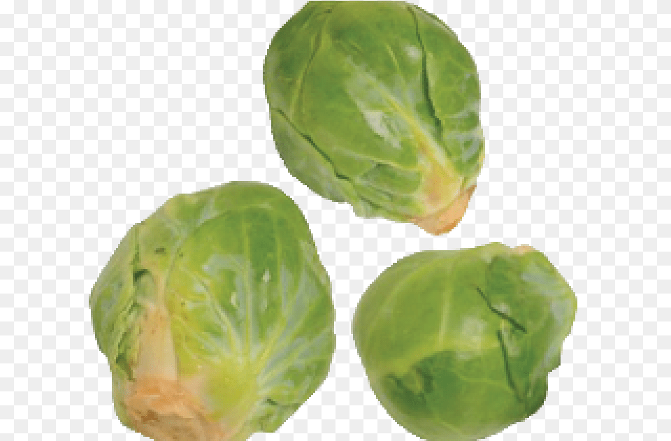 Brussels Sprout, Food, Produce, Leafy Green Vegetable, Plant Free Png Download