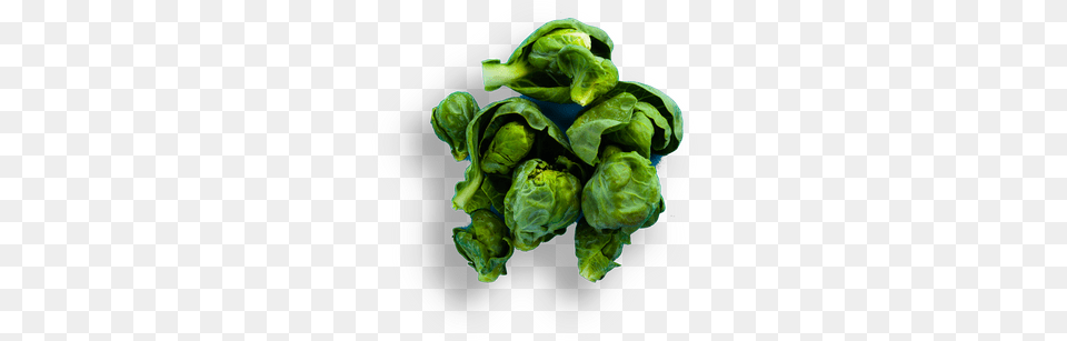 Brussels Sprout, Food, Produce, Leafy Green Vegetable, Plant Free Transparent Png