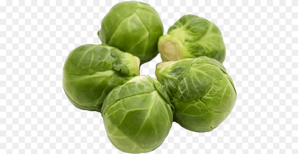 Brussels Sprouts Brussels Sprout, Food, Plant, Produce, Brussel Sprouts Png