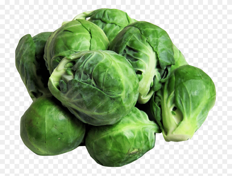 Brussels Sprouts Image, Food, Produce, Plant, Brussel Sprouts Png