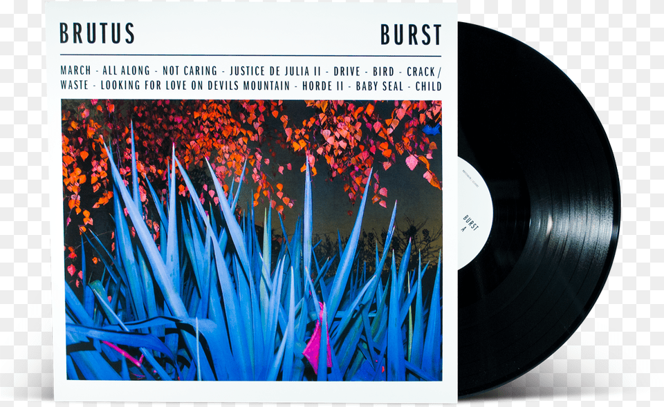 Brutus Burstclass Brutus Burst, Plant, Art, Graphics, Disk Free Png Download