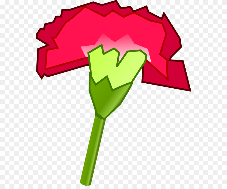 Bsantos Cravo Carnation, Flower, Plant, Rose, Dynamite Png Image