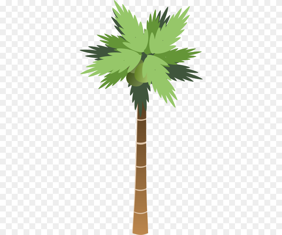 Bsantos Palm Tree, Palm Tree, Plant, Animal, Bird Free Png