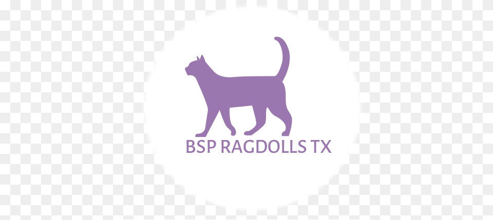 Bsp Ragdolls Tx Complexity Killed The Cat, Logo, Animal, Canine, Dog Free Png