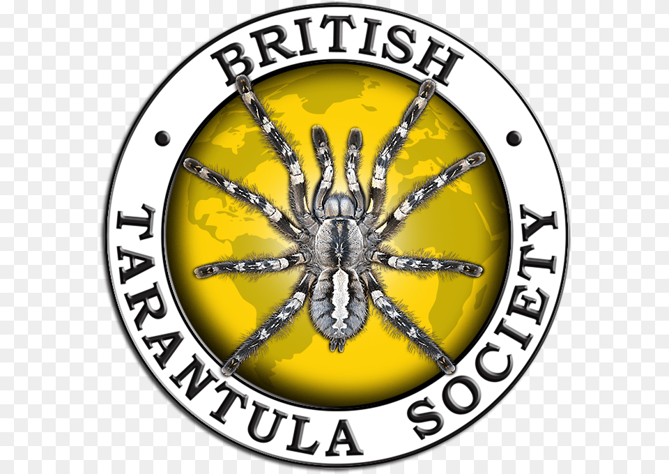 Bts Int Final British Tarantula Society, Animal, Invertebrate, Spider, Logo Free Transparent Png