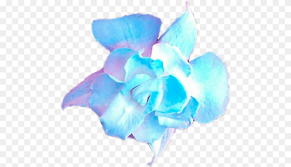 Bts Loveyourself Smeraldofreetoedit Artificial Flower, Petal, Plant, Rose Free Transparent Png