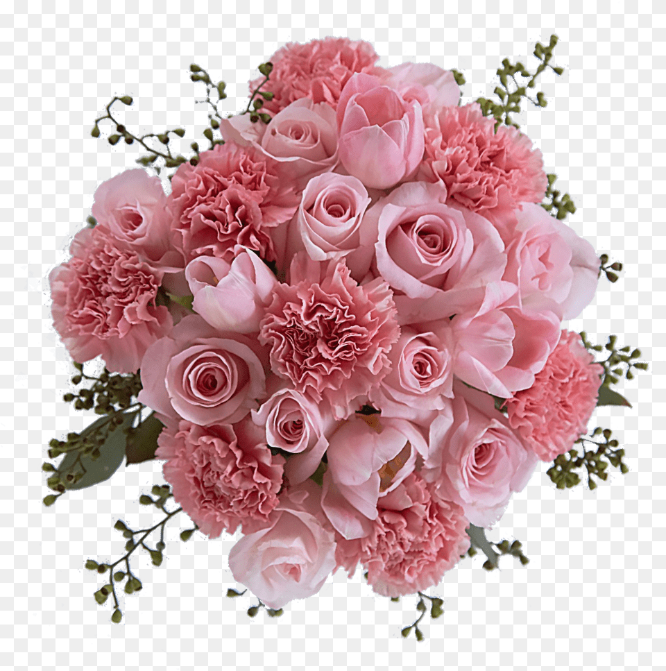 Bubble Gum U2013 Flowersbynumbercom Garden Roses, Flower, Flower Arrangement, Flower Bouquet, Plant Png