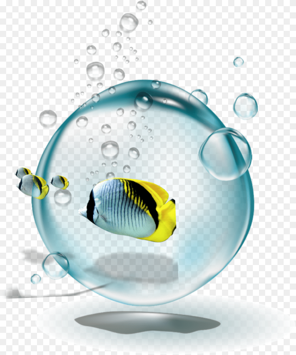Bubbles Fish, Sphere, Hot Tub, Tub Free Png