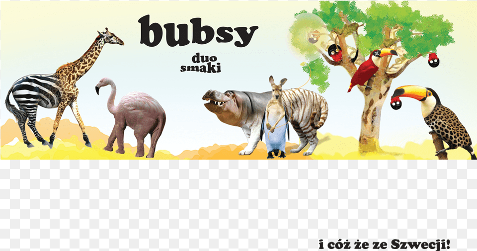 Bubsy Elki Wine Gum, Animal, Zoo, Bird, Mammal Free Png Download