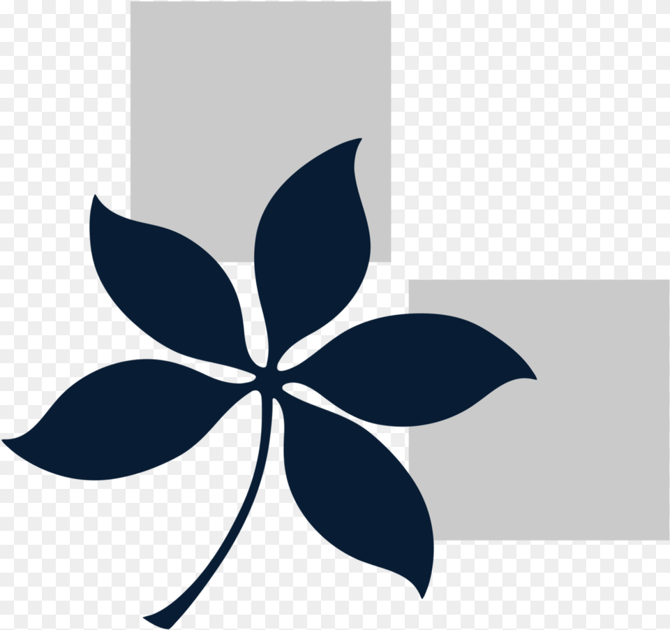 Bucc Decorative, Leaf, Plant, Art, Floral Design Free Transparent Png