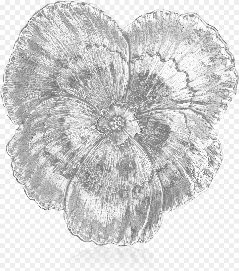 Buccellati Bowls Pansy Bowls Sketch, Anemone, Flower, Plant, Fungus Png Image
