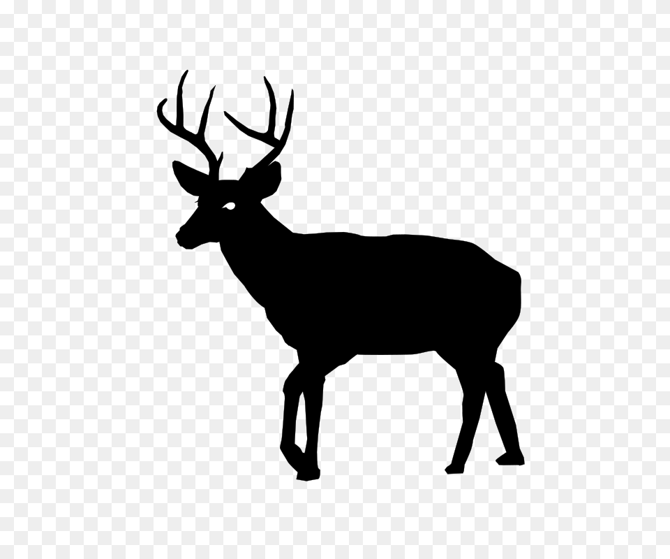 Buck, Gray Free Transparent Png