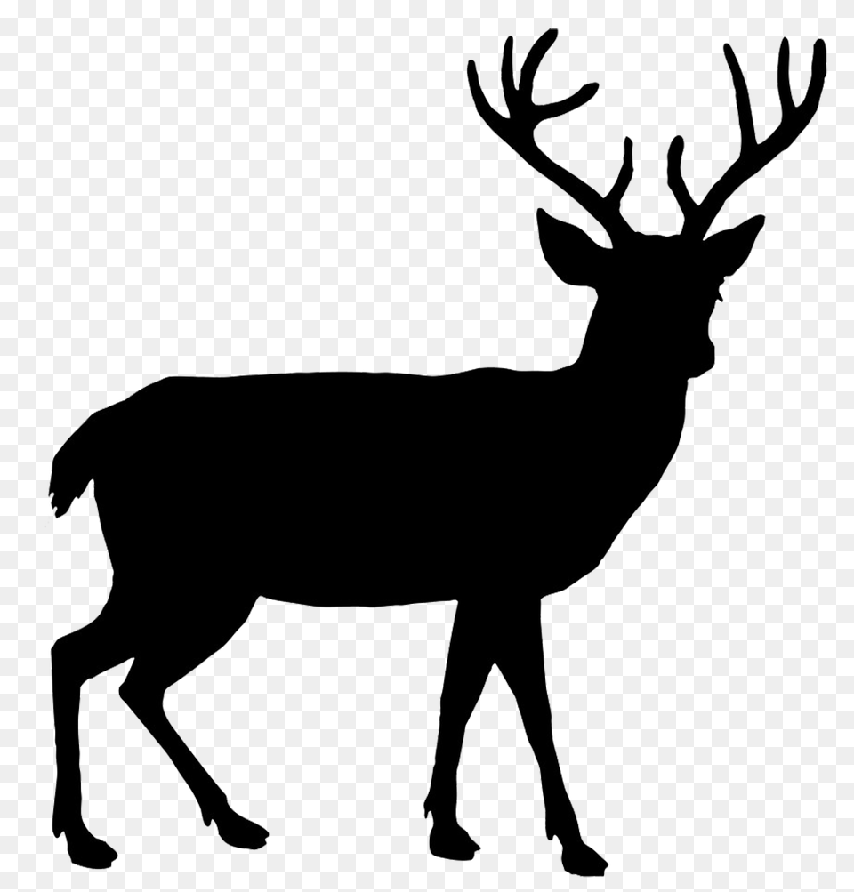 Buck Clipart Clip Art, Wildlife, Animal, Deer, Elk Free Transparent Png