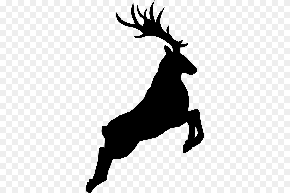 Buck Deer Silhouette, Stencil, Animal, Kangaroo, Mammal Png