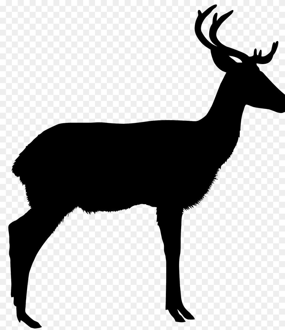 Buck Deer Silhouette, Animal, Mammal, Wildlife, Antelope Free Transparent Png