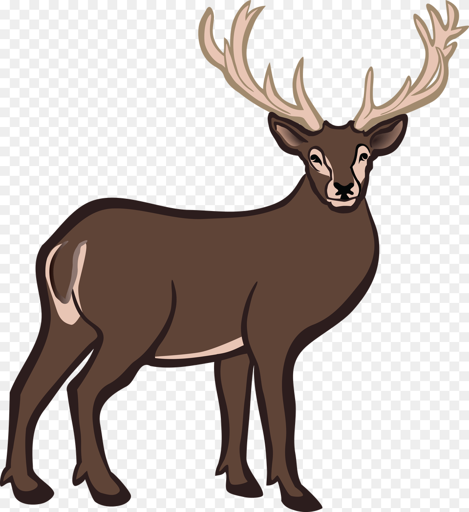 Buck Deer Buck Deer, Animal, Elk, Mammal, Wildlife Free Transparent Png
