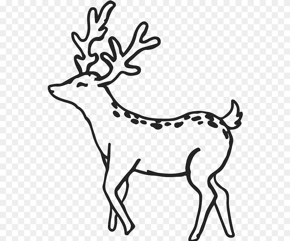 Buck Outline Buck Deer Rubber Stamp Outline Antler Deer Clipart Outline, Animal, Mammal, Wildlife, Stencil Free Png