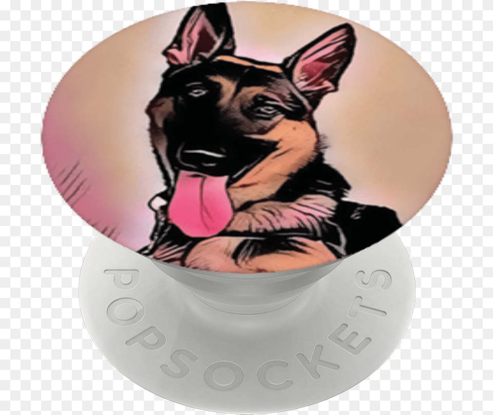 Buck The Service Dog Old German Shepherd Dog, Pet, Animal, Canine, German Shepherd Png