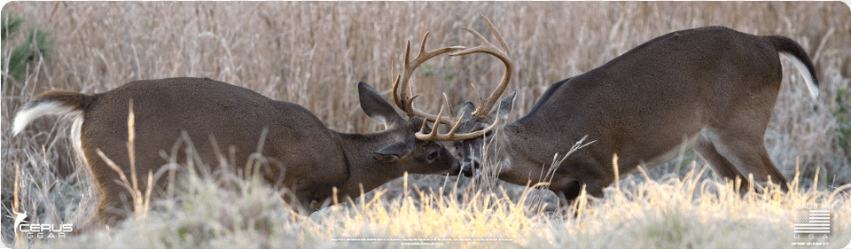 Buck Whitetail Deer Hunting Rifle Pad White Tailed Deer, Animal, Mammal, Wildlife, Antler Free Transparent Png