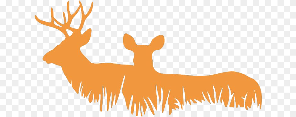 Buckdoe Deer Silhouette Freetoedit Deer Stickers For Cars, Animal, Elk, Mammal, Wildlife Free Transparent Png