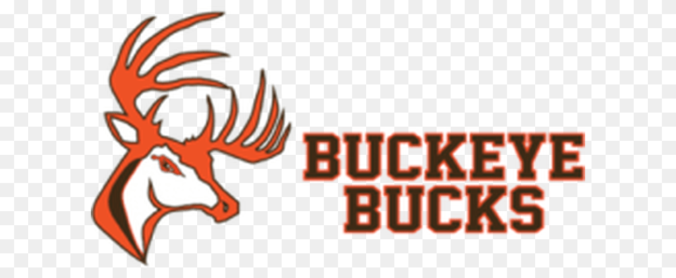 Buckeye Bucks Cheer, Scoreboard, Dragon Png