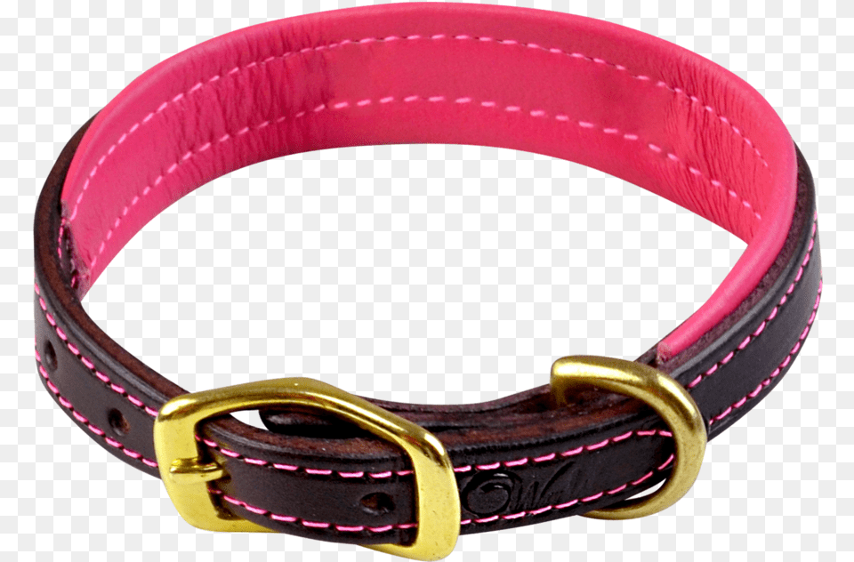 Buckle, Accessories, Collar Png Image