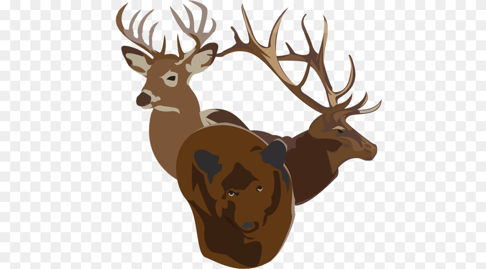 Bucks Bulls Bears Bi Weekly Newsletter, Animal, Deer, Mammal, Wildlife Png