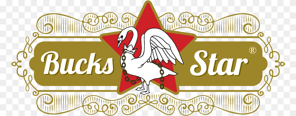 Bucks Star Beer Logo Logo, Baby, Person, Symbol, Text Png