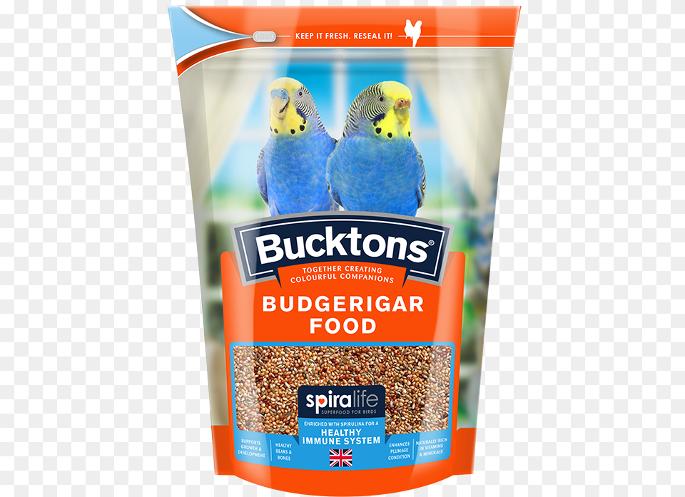 Bucktons Budgie Seed, Animal, Bird Free Transparent Png