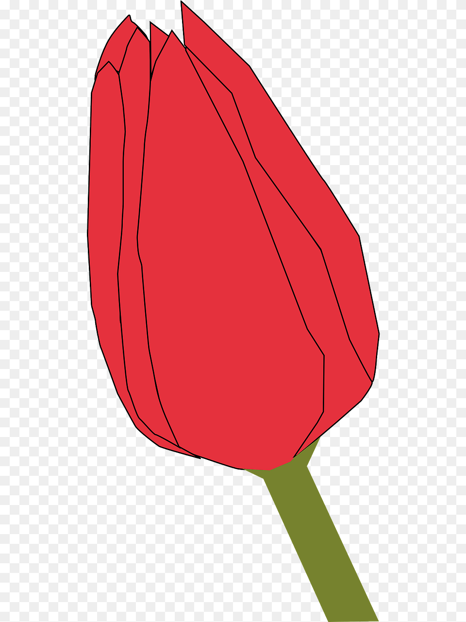 Bud Clip Art, Flower, Plant, Tulip, Bow Free Transparent Png