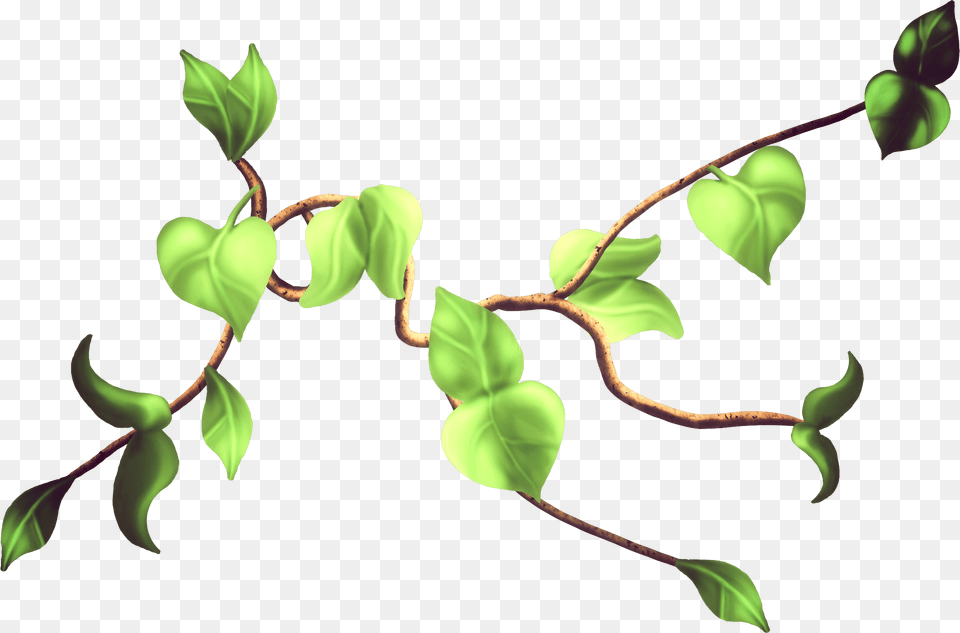 Bud Clip Art Transprent Portable Network Graphics, Vine, Plant, Leaf, Green Free Png Download