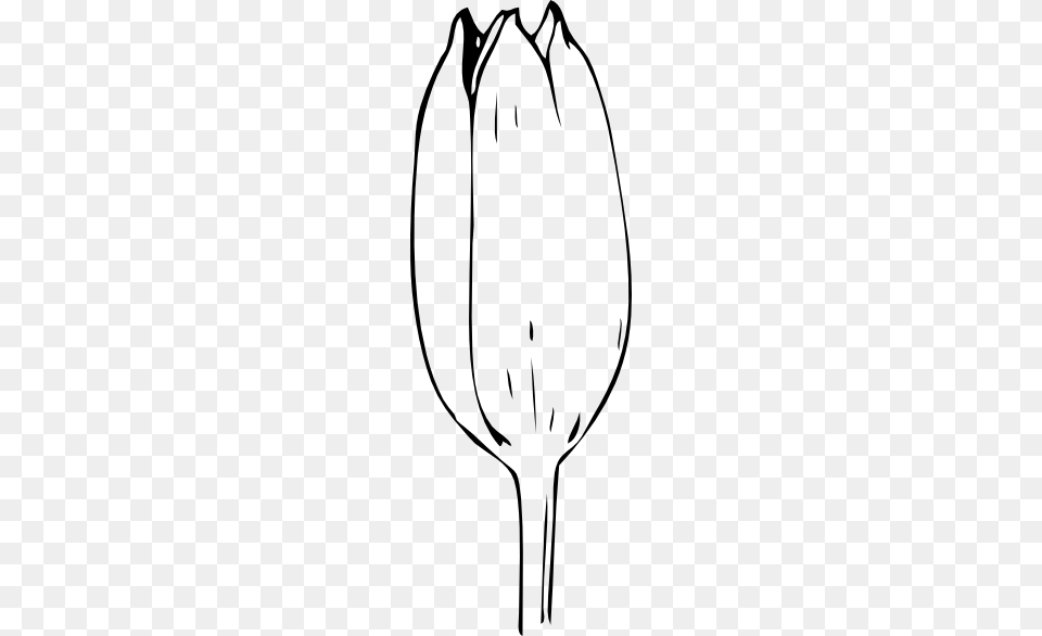 Bud Clipart Outline, Flower, Plant, Tulip, Bow Png Image