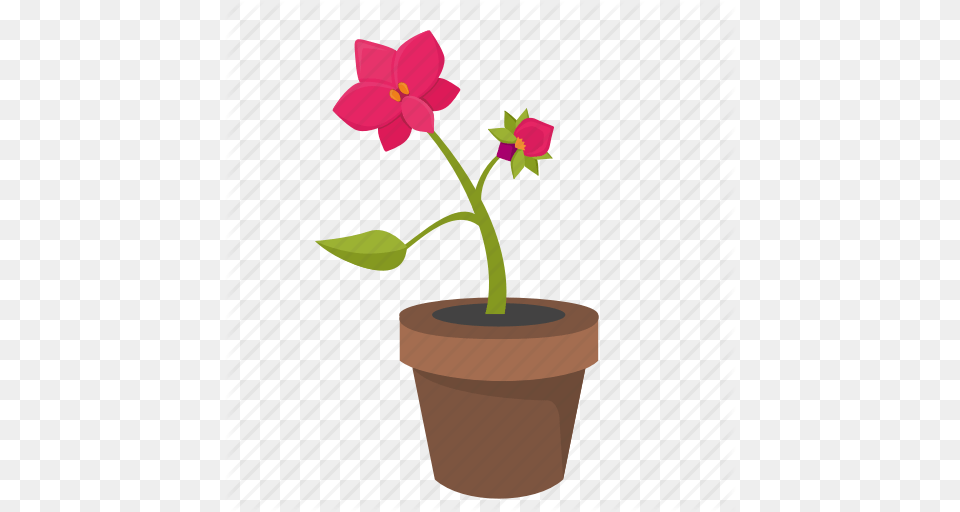 Bud Flower Orchid Plant Pot Icon, Geranium, Flower Arrangement Free Png