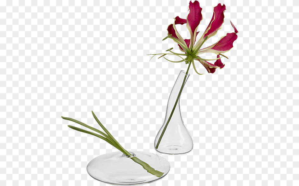 Bud Vases, Flower, Flower Arrangement, Ikebana, Jar Png Image