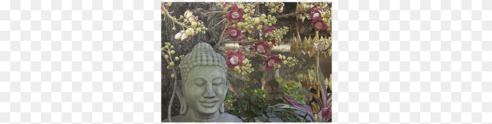 Buda Poster Pixers We Live To Change Buddhas Welt 2019, Art, Flower, Flower Arrangement, Person Png Image