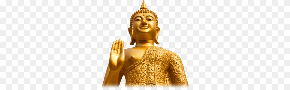 Buddha, Art, Prayer, Adult, Female Free Png Download